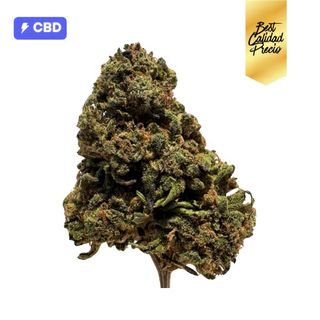 Orange Remedy - Flor 10g