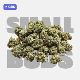 Tangie - Small Buds 10g