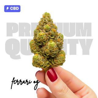 Ferrari OG - Flor 2g