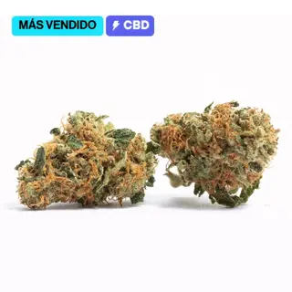 Gelato - Flor 10g