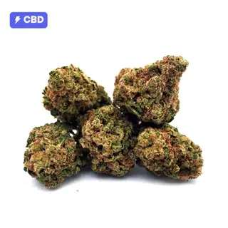 Mimosa - Flor 5g