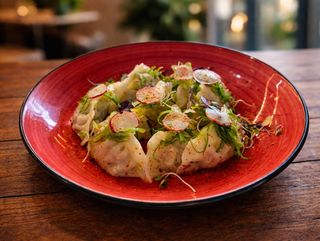 Gyozas con descendencia peruana