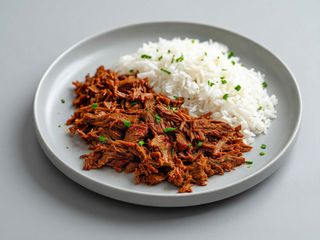 Plato Carne Con Arroz Grande