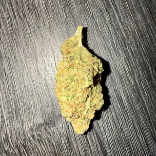 Amnesia