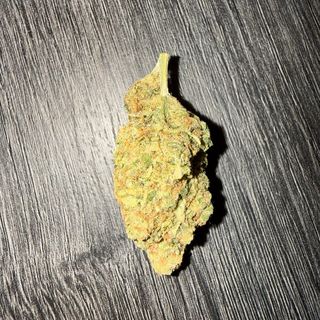Amnesia
