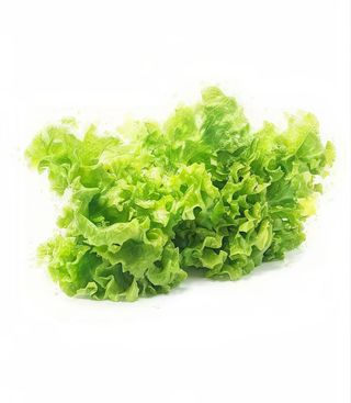 Lechuga