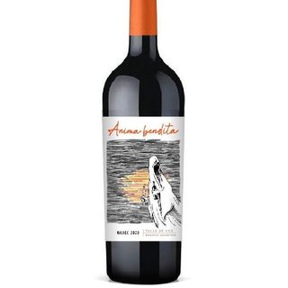 Vino Malbec Argentino