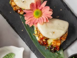 Pan bao pato