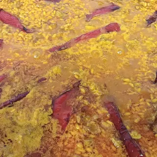 Arroz con costillejas y magra sale para las 13:00