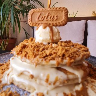 Pancake Lotus