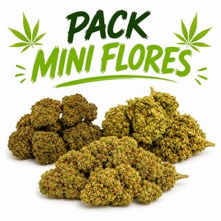 Pack Mini Flores CBD - 9G