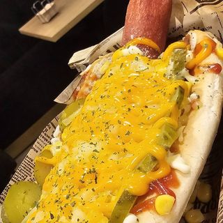 Perrito Candela