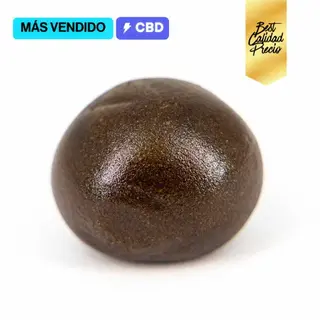 Musa Catalana - Hash 5g