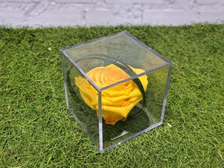 rosa metacrilato amarilla