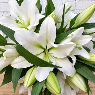 RAMO LILIUM BLANCO