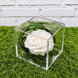 ROSA EN METACRILATO BLANCA