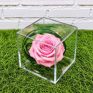 ROSA EN METACRILATO ROSA