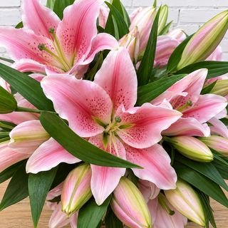 RAMO LILIUM ROSA
