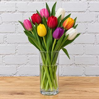 TULIPANES + JARRON