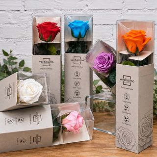 ROSA PRESERVADA MINI