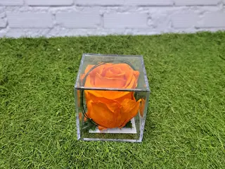 rosa metacrilato naranja