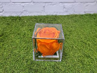 rosa metacrilato naranja