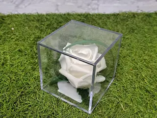 rosa en metacrilato blanca