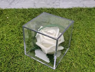 rosa en metacrilato blanca