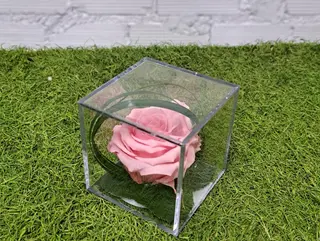 rosa en metacrilato rosa