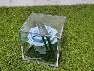 rosa metacrilato azul