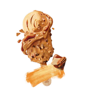 Nuii Nueces de Pecan de Texas