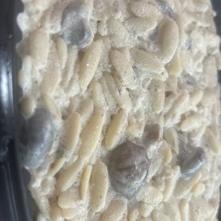 Falso Risotto con setas 