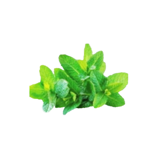 Limonada de menta