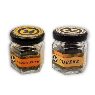 Pack 5 gr - Mango Indoor + Cheese Glasshouse