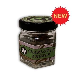 Charlotte Angels 2 gr. (Hydroponica)