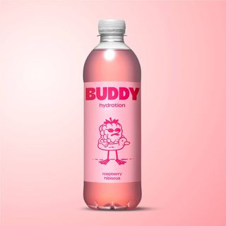 Bebida Recuperadora de Frambuesa e Hibisco · 1 botella