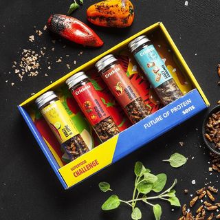 Insectos Comestibles Tostados Caja de regalo · Picante y dulce