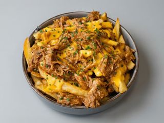 PULLED PORK CHEESE FRIES