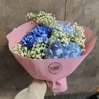 Sky Flower