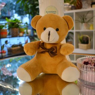 Osito de Peluche