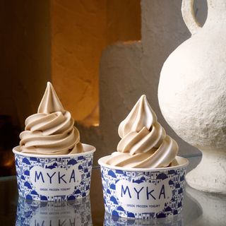 Helado Mixto Yogurt Temporada (500Ml.)