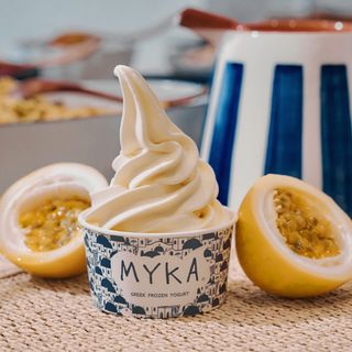 Helado De Yogurt Griego De Temporada (500 Ml.)