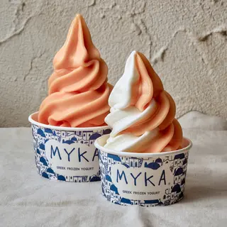 Helado Mixto Sorbete (500 Ml.)