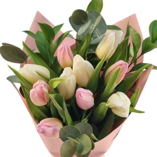 Ramo 10 tulipanes rosados y/o blancos