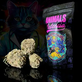 25Gr MiniFlores Northern Lights GreenHouse PREMIUM CBD