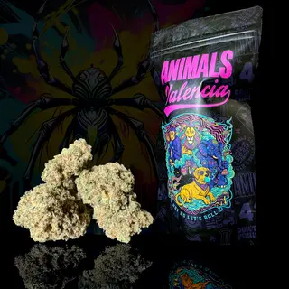 50Gr MiniFlores Hawaiian Haze GreenHouse Cbd