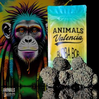 1Gr Bubba Bob GreenHouse CBD