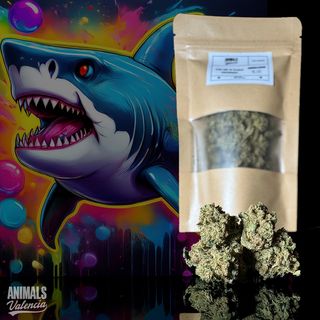 25Gr MiniFlores Bubblegum GreenHouse Cbd 