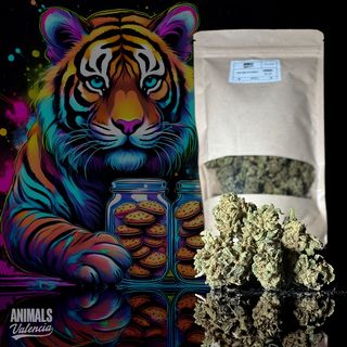 50Gr MiniFlores Cookies GreenHouse Cbd 