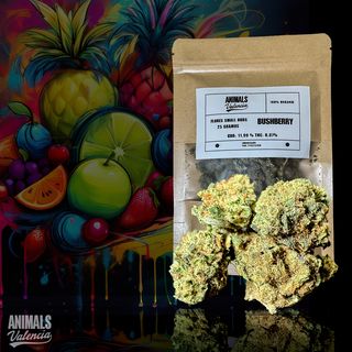 50Gr MiniFlores Bushberry GreenHouse CBD